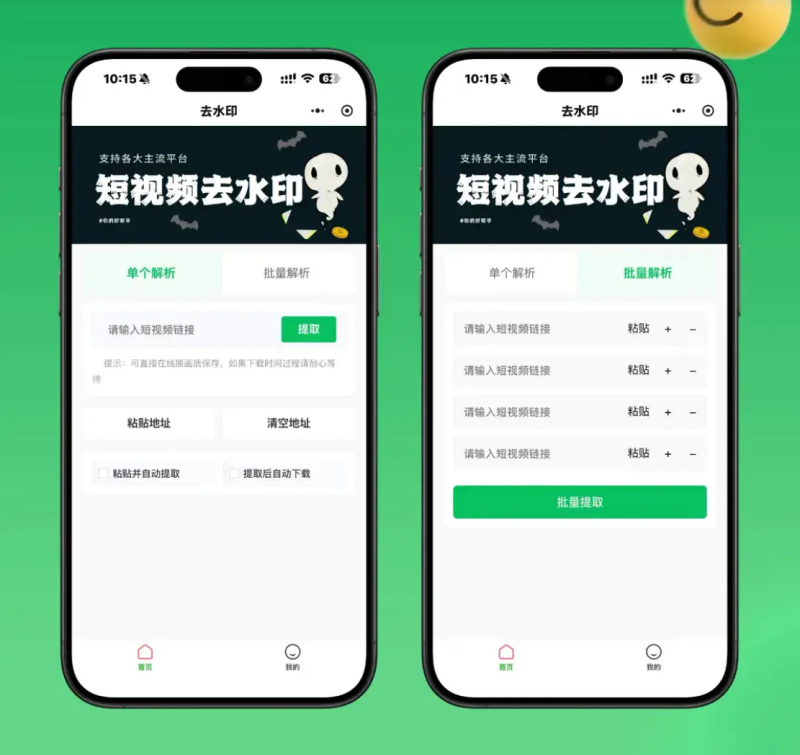 2026最新去水印小程序源码 v1.6.5 带流量主-狗窝源码站